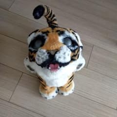 ファーリアル ロアーリング タイラーのサムネイル