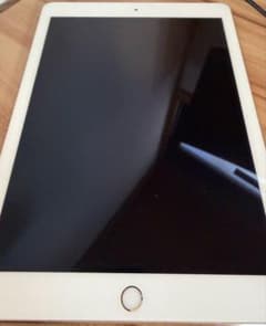 Apple iPad Pro 9.7inch 第一世代2016年のサムネイル