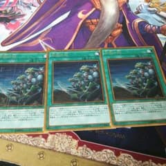 遊戯王 同胞の絆３枚のサムネイル