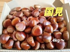 生栗　国見　かなり小さめ　1.4kg〜のサムネイル