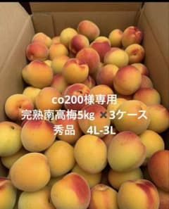 和歌山県紀南産　完熟南高梅5㎏ 秀品 3L 和歌山県紀南産 完熟南高梅5㎏ 秀品 3L〜4L✖️3ケース - メルカリ