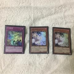 遊戯王 灰流うらら 次元障壁のサムネイル