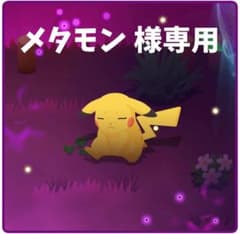 メタモン 様専用のサムネイル