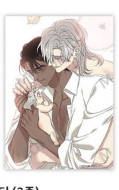 韓国BL スミルナ＆カプリ色紙A5 4枚セード 新品 未開封 一筆箋｜紙シリーズ｜一筆箋 シルク 朝顔柄 S2(89589006