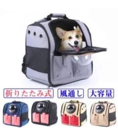 【24日まで！】ペットキャリー　小型〜中型のサムネイル