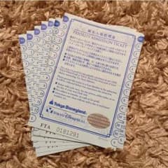 なみぽよさん 専用ファストパス  優先入場整理券  2枚13000円のサムネイル