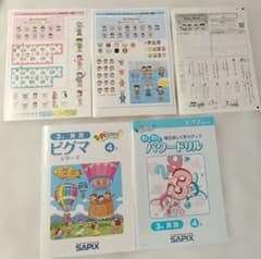 未使用 2025年4月 ピグマシリーズ 小学3年 算数・国語 SAPIX - メルカリ