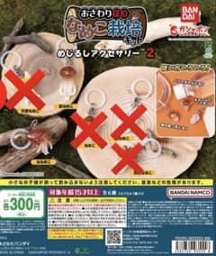 なめこ栽培キット めじるしアクセサリー2のサムネイル