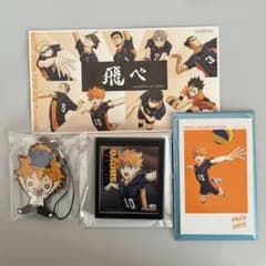 日向翔陽セットのサムネイル