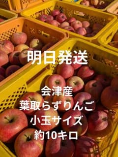 会津産　葉取らずりんご小玉サイズ約10キロのサムネイル