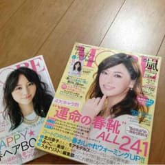 mie様専用！MORE3月号 別冊なし！のサムネイル