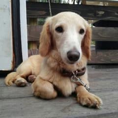 さや様専用のサムネイル