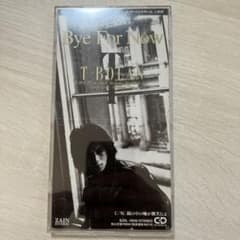 T-BOLAN Bye For Now BJD-1002のサムネイル