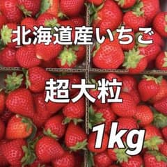 北海道栗山町産 ファームうかわ 超大粒苺 正品 箱込み1kg 生いちご イチゴのサムネイル