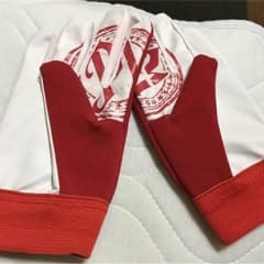新日本プロレスのサムネイル