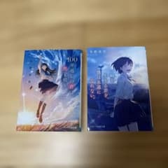 「一瞬を生きる君を、僕は永遠に忘れない。」 「100年越しの君に恋を唄う。」のサムネイル