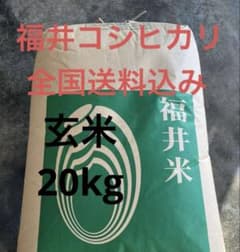 令和6年産福井コシヒカリ1等 玄米20kg 10㎏を2本送料込 低温保管