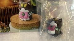 セーニャームーン 2024 セーラージュピター