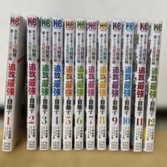 味方が弱すぎて補助魔法に徹していた宮廷魔法師、追放されて最強を目指す　1〜12巻のサムネイル