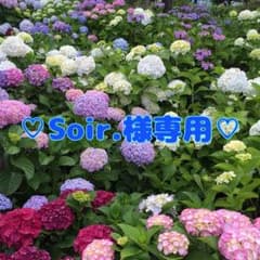 ♡Soir.様専用♡ CHRONICLE 4点セットのサムネイル