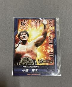 小橋健太　FINAL BURNING トレカのサムネイル