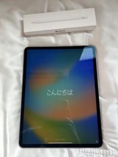iPad Pro12.9 第3世代 256GB Wi-Fiモデル　アップルペン付のサムネイル