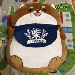 《新品》忠犬もちしば　ぎゅっとでかでか座布団　おかか　プライズ品