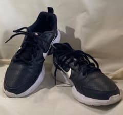 は*ん様 NIKE TODOS トドス スニーカー ランニングシューズ ジム靴のサムネイル