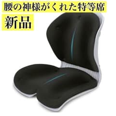 腰の神様がくれた特等席✨姿勢サポートチェア 椅子 腰痛対策