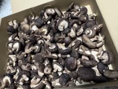 乾燥椎茸 300g 自家栽培 自然乾燥 無添加 国産のサムネイル