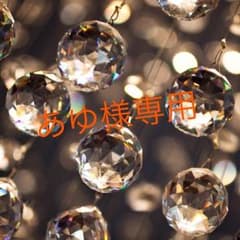 ギャル車用サンシェードのサムネイル