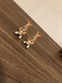 シャクレルカンガルー二体のサムネイル