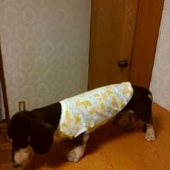 犬服ハンドメイドのサムネイル