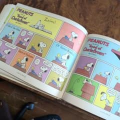 PEANUTS JUBILEE 古書 - メルカリ