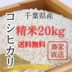 令和7年千葉県産 コシヒカリ 精米 20kg 農家直送　送料無料　色彩選別済 令和7年千葉県産 コシヒカリ 精米 20kg 農家直送 送料無料 色彩選別済