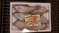 カレイ　干物　20センチ超のサムネイル