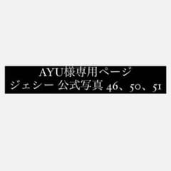 AYU様専用ページ 46、50、51のサムネイル