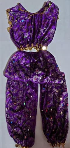 トルコ製 ベリーダンス 衣装 オリエンタル 紫 S XS ベロア 新品 - メルカリ