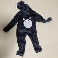 トトロセットアップのサムネイル