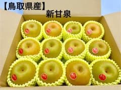 【鳥取県産】秀品　新甘泉梨　12玉セットのサムネイル