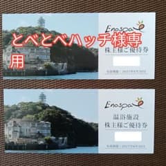 飯田グループホールディングス株主優待 江の島アイランドスパ ご優待券