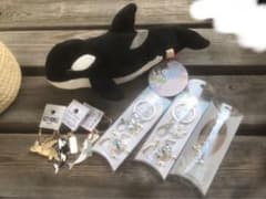 新品 須磨シーワールド記念グッズ⭐︎シャチぬいぐるみ♪カメ