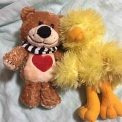 スージーズー ぬいぐるみのサムネイル