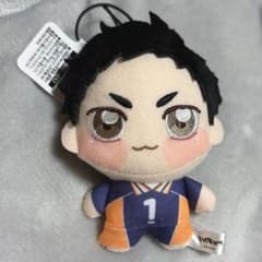 ハイキュー！！ ちょぴぬいぷち ぬいぐるみ 澤村大地 - メルカリ