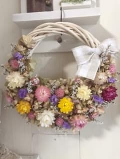 カシワバアジサイのハーフリースのサムネイル