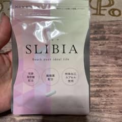 スリビア 乳酸菌酪酸菌 30粒のサムネイル