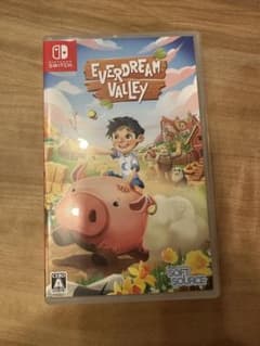 Everdream Valley Nintendo Switch