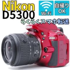 安心の取扱説明書付き】Nikon D5300 WiFi スマホ転送 自撮り - メルカリ
