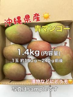 マンゴー(摘果マンゴー)青マンゴー グリーンマンゴー 1.4kg - メルカリ