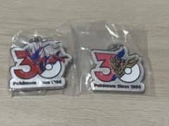 ポケモン 30周年 メタルチャーム 2種セットのサムネイル
